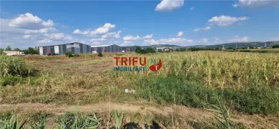 Teren intravilan 5.756 mp cu acces direct la Șoseaua de Centură – Alba Iulia, zonă industrială - foto 5