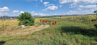 Teren intravilan construibil de 5.900 mp, zonă industrială, Șoseaua de Centură – Alba Iulia - foto 6