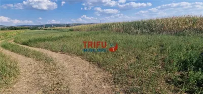 Teren intravilan construibil de 5.900 mp, zonă industrială, Șoseaua de Centură – Alba Iulia - foto 7