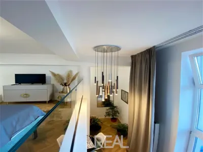Loft Pajura Bucurestii Noi - foto 10