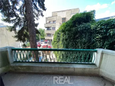 Vila brancoveneasca pretabila: birouri, clinica, ceainarie - foto 18