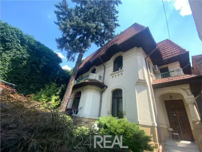 Vila brancoveneasca pretabila: birouri, clinica, ceainarie - foto 23