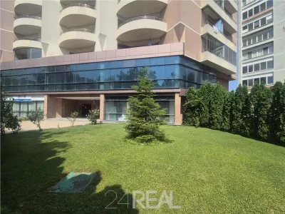 Spatiu multifunctionale - clinica, comercial, showroom, birouri - Bucuresti