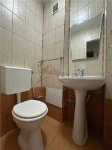 Inchiriere Apartament 4 camere Decomandat Centru- Palas - foto 6