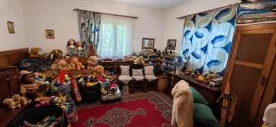 CASA CU TEREN GENEROS IN HERINA, BN – OPORTUNITATE DE INVESTITIE TURISTICA SAU REZIDENTIALA - foto 8