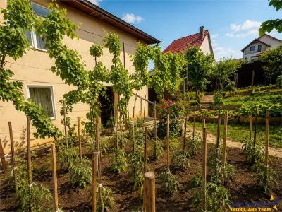 Casa individuala cu 5 camere, garaj, pivnita si curte proprie, Sangeorgiu de Mures - foto 14