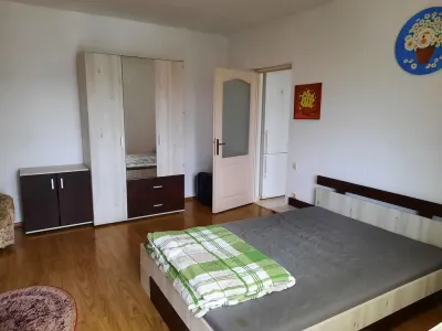 Apartament cu 1 camera strada Victoriei - foto 5