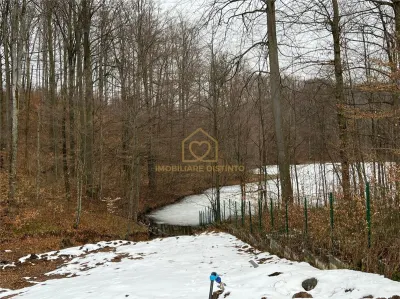 Exclusivitate! VILA PREMIUM CU DESCHIDERE LA LAC MOGOSA - foto 2