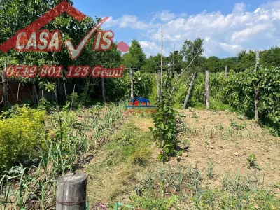 Casa de vanzare in Onesti/VANDUTA, com Casin/Curita - foto 7