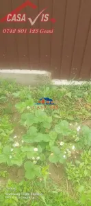 Casa de vanzare in Onesti/VANDUTA, com. Buciumi - foto 18