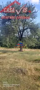 Teren in Onesti/VANDUT 0742 801 123, zona Scutaru - foto 7