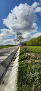 Teren in Onesti/VANDUT 0742 801 123, com. Casin - foto 8