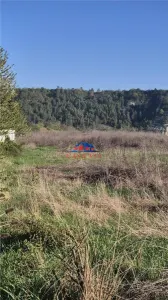 Teren stradal langa FC Viitorul Onesti - foto 5