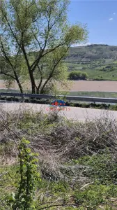 Teren pe malul lacului in jud Bacau la 60 min de Onesti Are certificat de urbanism - foto 13