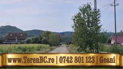 Teren in com Oituz langa pensiunea Benedetta - foto 4
