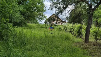Casa de vanzare in Buciumi, la 15 min de Onesti . - foto 5