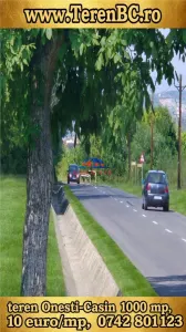 Teren la iesire din Onesti spre Casin, partea dreapta dupa ciusmea - foto 7