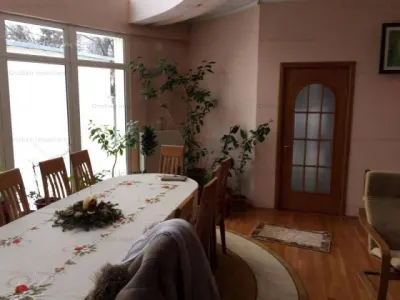 Vila 456mp utili  zona Plantelor - foto 12
