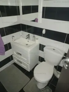 VILA D+P+2, FINISAJE CALITATE SUPERIOARA, zona Centrala, Mobilata - foto 15