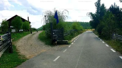 RATE Pensiune 12 cam Superba*** malul Lac Mocearu piscina ,16277mp - foto 22