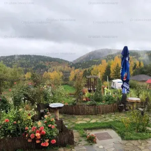 RATE Pensiune 12 cam Superba*** malul Lac Mocearu piscina ,16277mp - foto 5