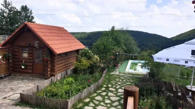 RATE Pensiune Piscina Superba***pe mal Lac Mocearu  70km de Buzau - foto 18