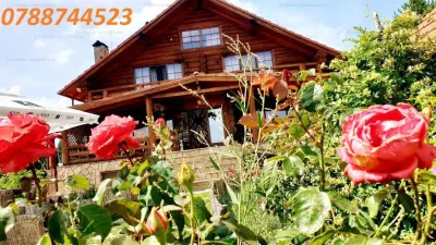 RATE Pensiune Piscina Superba***pe mal Lac Mocearu  70km de Buzau - foto 3
