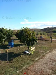 CASA 8 camere + teren intravilan, Silistea, St - 16.000 mp - foto 3