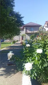VILA P+1 NOUA 236mp utili Teren= 1000 mp, la 13 km de Braila - foto 3