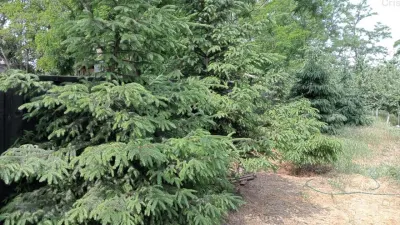 Vila P+M, teren 1222 mp, TOTUL NOU, la 15 Km de Braila - foto 11