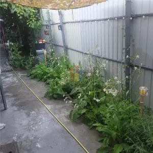 Casa 5 camere, suprafata teren 200 mp, zona Piata Saraca - foto 10
