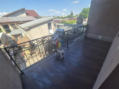 Vila, P+M Brailita, 3 camere, teren 271 mp, mobilata si utilata - foto 9