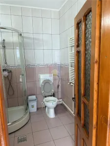 Casa centru  Pta. Mare Eremia Grigorescu 5 cam 104mp utili, teren 385 mp, LIBERA - foto 16