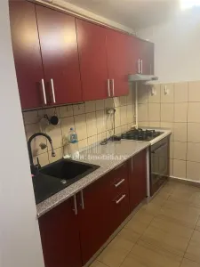 Inchiriere 2 camere|Gorjului-2 locuri parcare - foto 10
