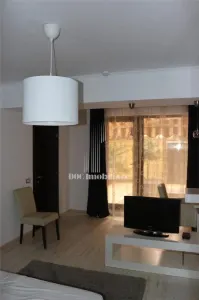 Inchiriere 3 camere|Herastrau|Pet Friendly|Parcare|160mp+Gradina 100mp - foto 20