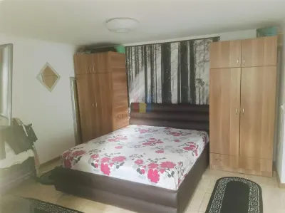 Casa 90 mp, 2 camere, baie, toate utilitatile, Islaz - Plantelor - foto 6