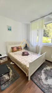 Casa de vanzare in Maramures Firiza -Blidari - foto 18