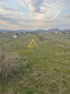 Teren intravilan, sat Sasar - 26 ari - foto 3