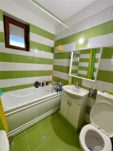 Apartament de vanzare + mansarda, 3 camere, in vila, curte privata. Campului, Cluj Napoca - foto 6