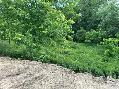 Terenuri intravilane de vânzare – Pătrăuți Suceava - foto 20
