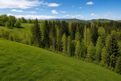 Bran Mountain Retreat – Doar 3 vile exclusiviste în inima Branului - foto 4