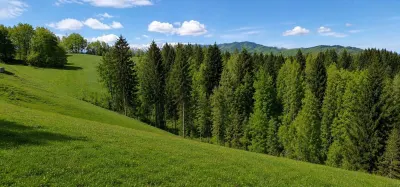 Bran Mountain Retreat – Doar 3 vile exclusiviste în inima Branului - foto 6