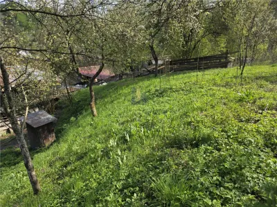 Casa cu teren generos in zona turistica de munte ,Nadrag,Timis - foto 12