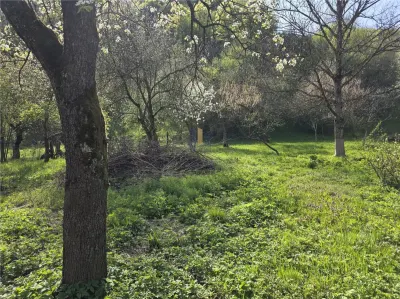 Casa cu teren generos in zona turistica de munte ,Nadrag,Timis - foto 13