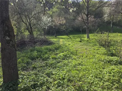 Casa cu teren generos in zona turistica de munte ,Nadrag,Timis - foto 9