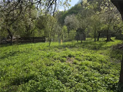 Casa cu teren generos in zona turistica de munte ,Nadrag,Timis - foto 10