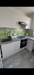 Apartament 2 camere de inchiriat Zona Medicina - foto 14
