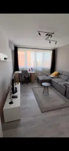 Apartament 2 camere de inchiriat Zona Medicina - foto 8