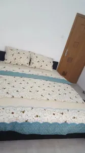 Apartament 3 camere zona Judetean ,parter,mobilat,renovat,150000 Euro - foto 7