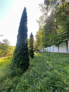 DE VANZARE CONAC / VILA / 800 MPU/ 14 CAMERE/ 35 ARII DE TEREN/ VALEA GHINZII - foto 13